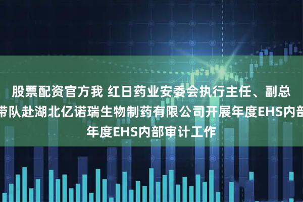 股票配资官方我 红日药业安委会执行主任、副总裁陆小中带队赴湖北亿诺瑞生物制药有限公司开展年度EHS内部审计工作