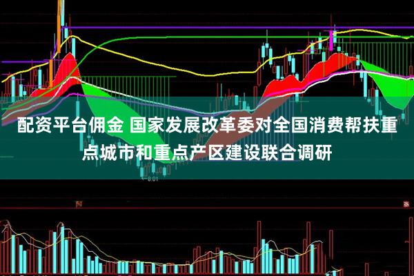 配资平台佣金 国家发展改革委对全国消费帮扶重点城市和重点产区建设联合调研