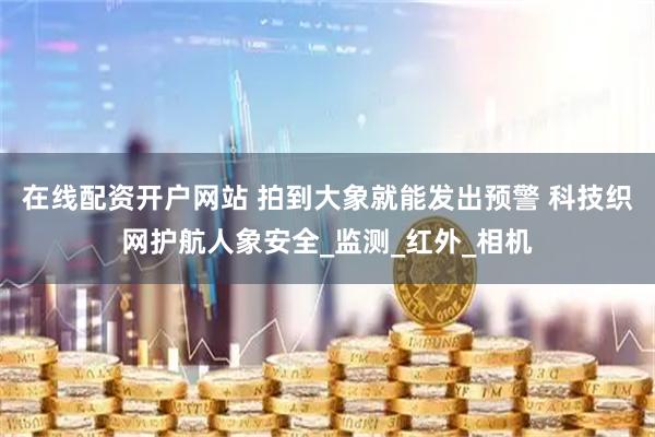 在线配资开户网站 拍到大象就能发出预警 科技织网护航人象安全_监测_红外_相机