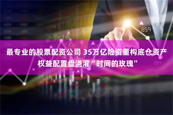 最专业的股票配资公司 35万亿险资重构底仓资产 权益配置盘浇灌“时间的玫瑰”